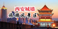 最新小骚逼小说视频网页中国陕西-西安城墙旅游风景区
